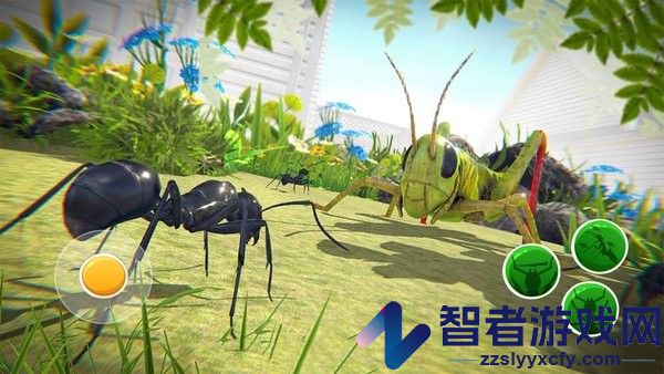 荒野蚂蚁模拟器下载