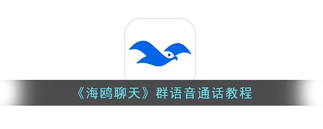 《海鸥聊天群语音通话教程：海鸥App多人通话指南》