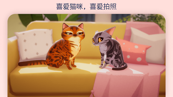 我的猫咪俱乐部(My Cat Club)