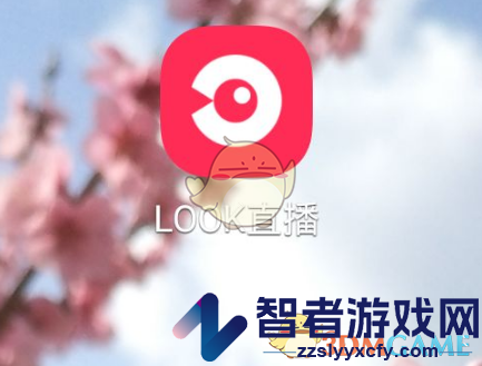 look直播开直播方法