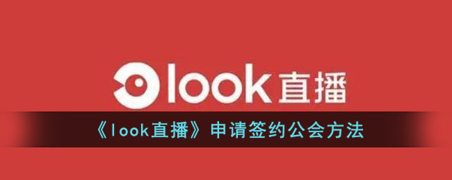 Look直播申请签约公会流程及加入方法指南