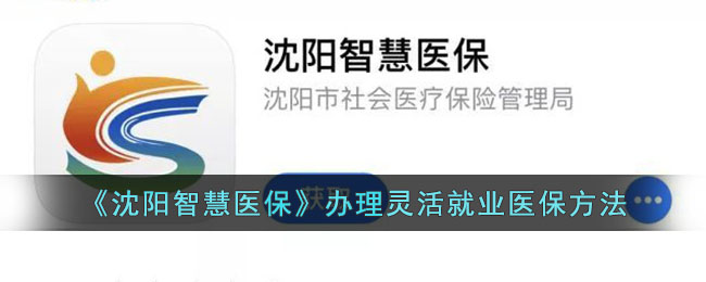 沈阳智慧医保办理指南：灵活就业人员医保办理流程与方法