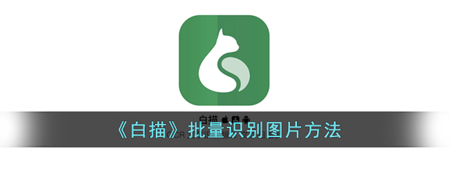 白描App批量识别图片方法教程｜白描批量识别技巧与操作指南