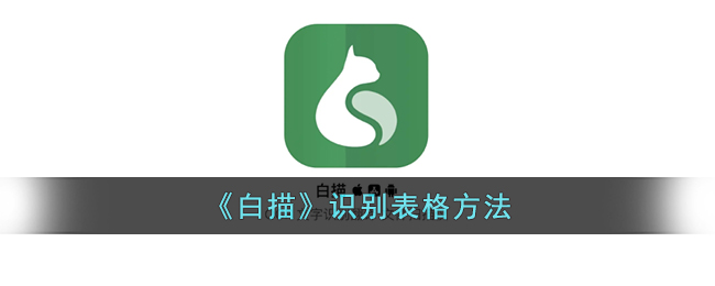 白描App表格识别方法教程 | 白描识别表格技巧与操作指南