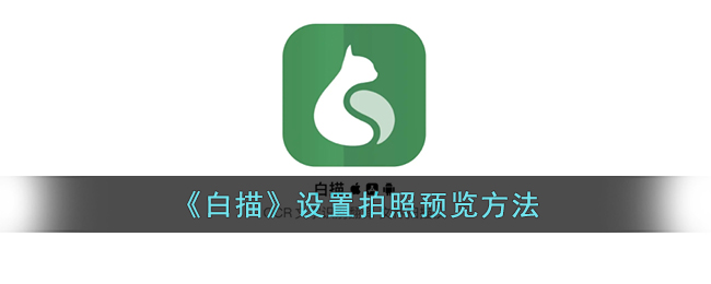 白描软件拍照预览设置教程及修改方法【白描拍照预览操作指南】