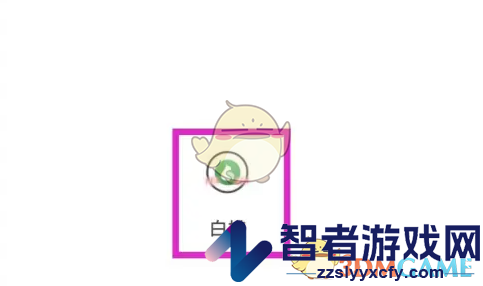 白描设置拍照预览方法