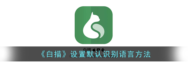 白描设置默认识别语言的方法教程｜白描如何快速调整识别语言