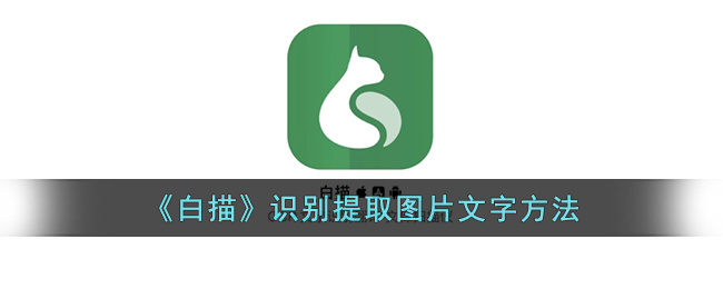 白描图片文字识别方法教程｜白描如何快速提取图片文字