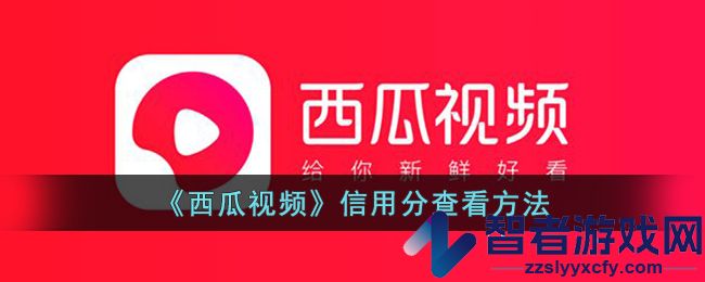 西瓜视频信用分查看方法