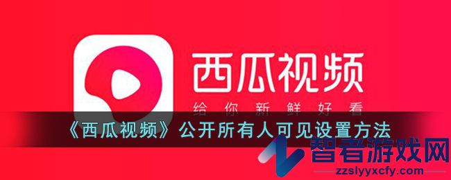 西瓜视频公开所有人可见设置方法