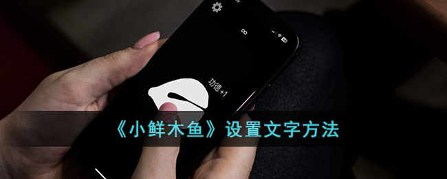 小鲜木鱼设置文字教程：小鲜木鱼如何轻松设置文字方法