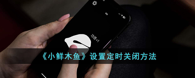 小鲜木鱼设置定时关闭方法详解｜教你轻松定时关闭小鲜木鱼