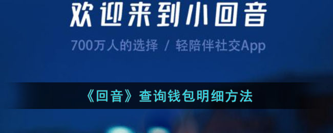《回音》查询钱包明细方法指南|如何在回音App查看钱包余额和交易明细