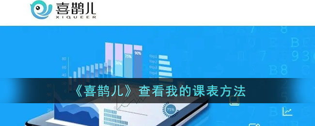 喜鹊儿访客记录查看方法：详细指南与操作步骤