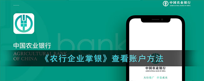 农行企业掌银查询账户方法指南 | 如何使用农行企业掌银查看账户余额