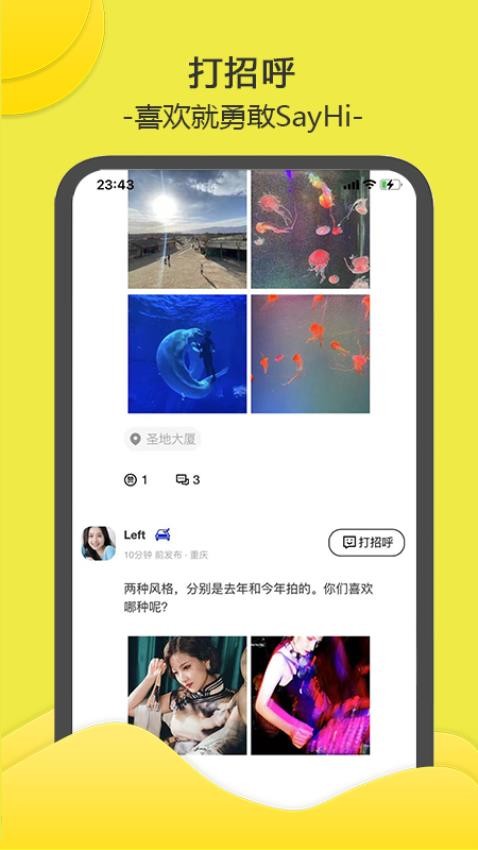 南乔木手机版
