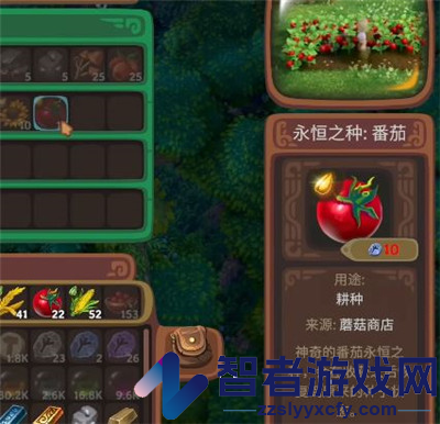 露玛岛番茄具体特点介绍