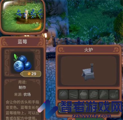 露玛岛蓝莓具体特点介绍
