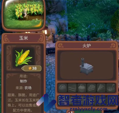 露玛岛玉米具体特点介绍