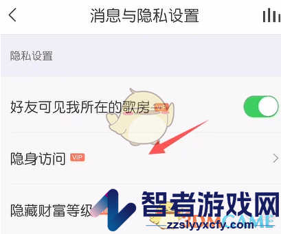 vv音乐隐身访问设置方法
