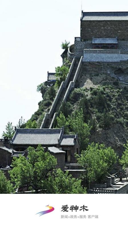 爱神木官网版