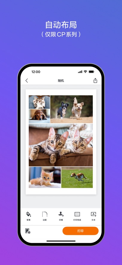 canon selphy photo layout app