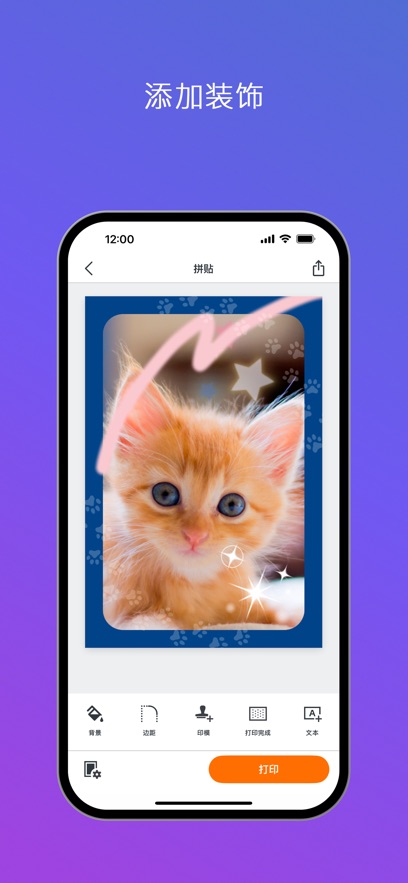 canon selphy photo layout app