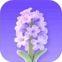 风信子花官网版