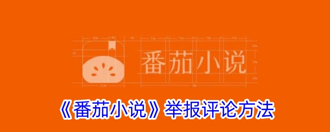 《番茄小说》举报评论的详细方法及步骤指南
