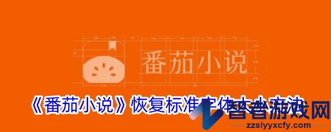 番茄小说恢复标准字体大小方法