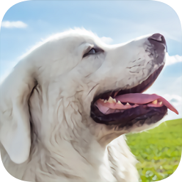 塔特拉牧羊犬模拟器(Tatra Sheepdog Simulator)