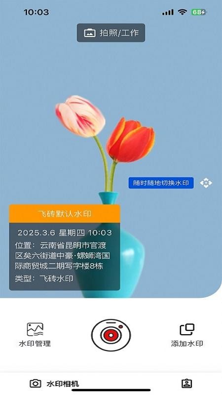 飞砖免费版