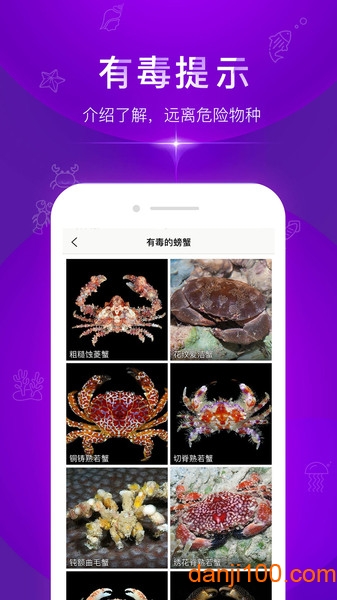 问鱼软件
