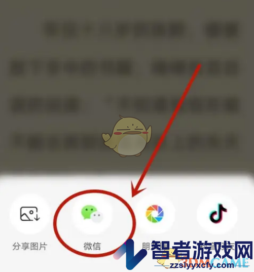番茄小说分享链接方法
