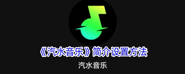 汽水音乐简介写作指南：设置方法与技巧解析