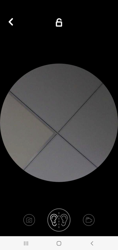 Picidae最新版