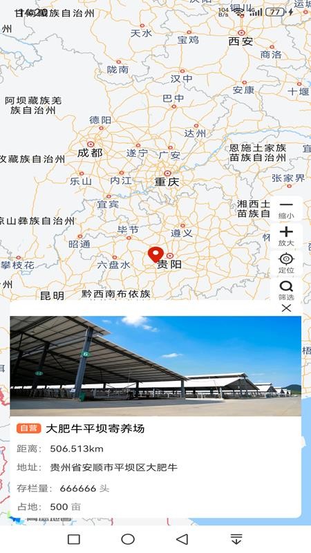 大肥牛官网版