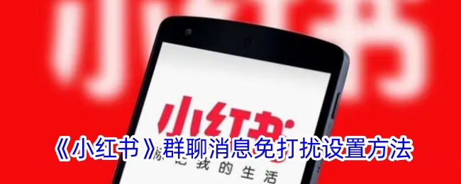 《小红书》群聊消息免打扰设置攻略：如何轻松开启群聊免打扰功能
