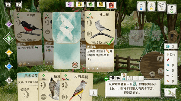 展翅翱翔桌游