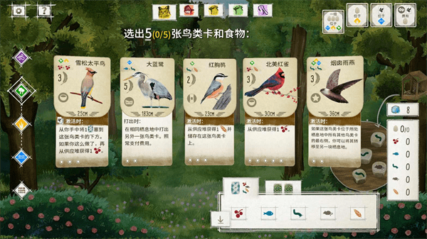 展翅翱翔桌游
