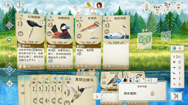 展翅翱翔桌游