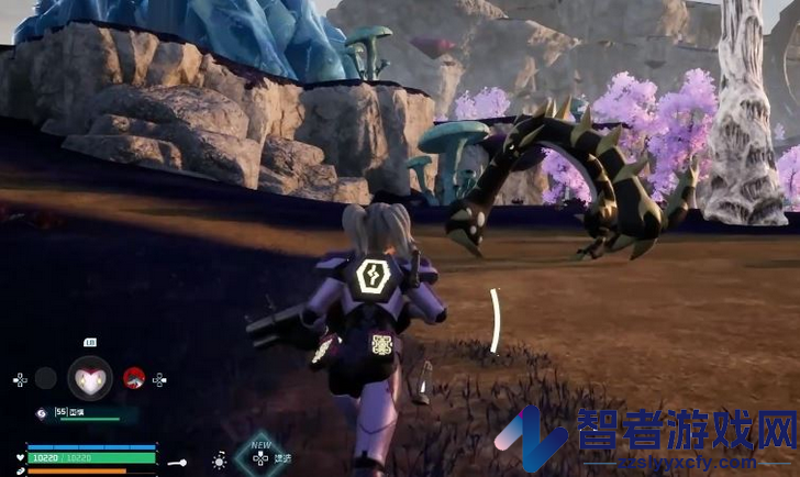 幻兽帕鲁金棘兽具体位置介绍