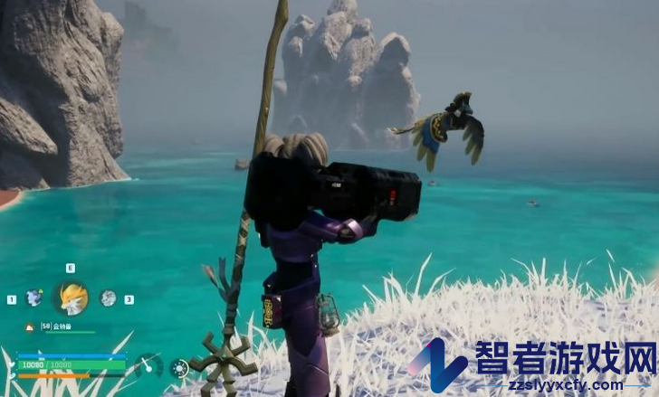 幻兽帕鲁伊西斯具体位置介绍