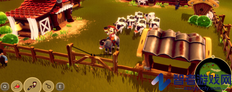 Gaucho