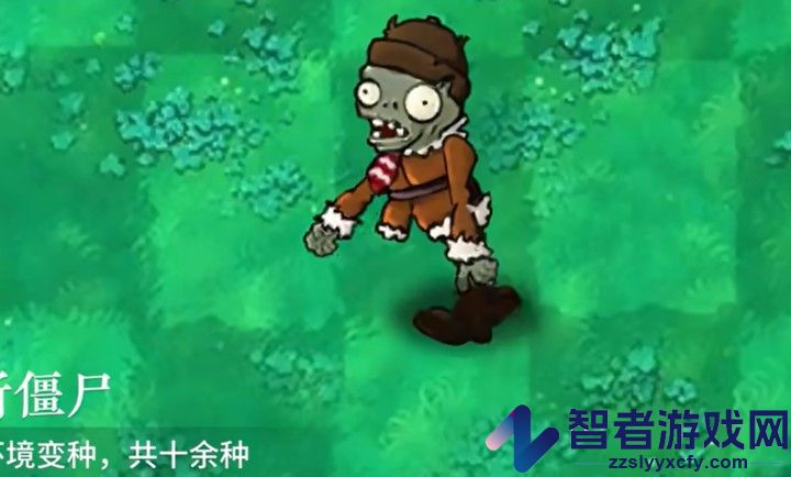 植物大战僵尸自然版