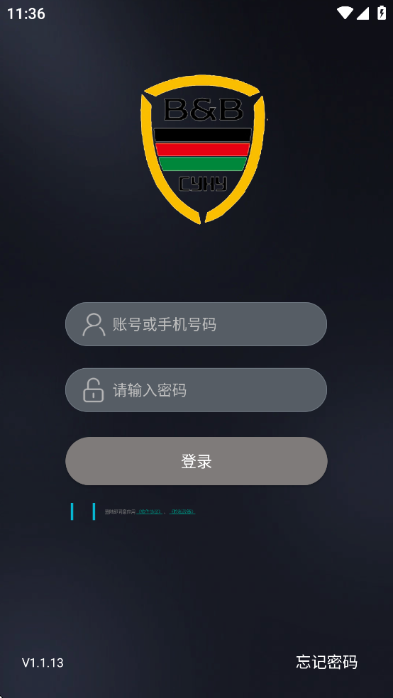 亮波红月app