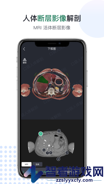 口袋人体解剖app