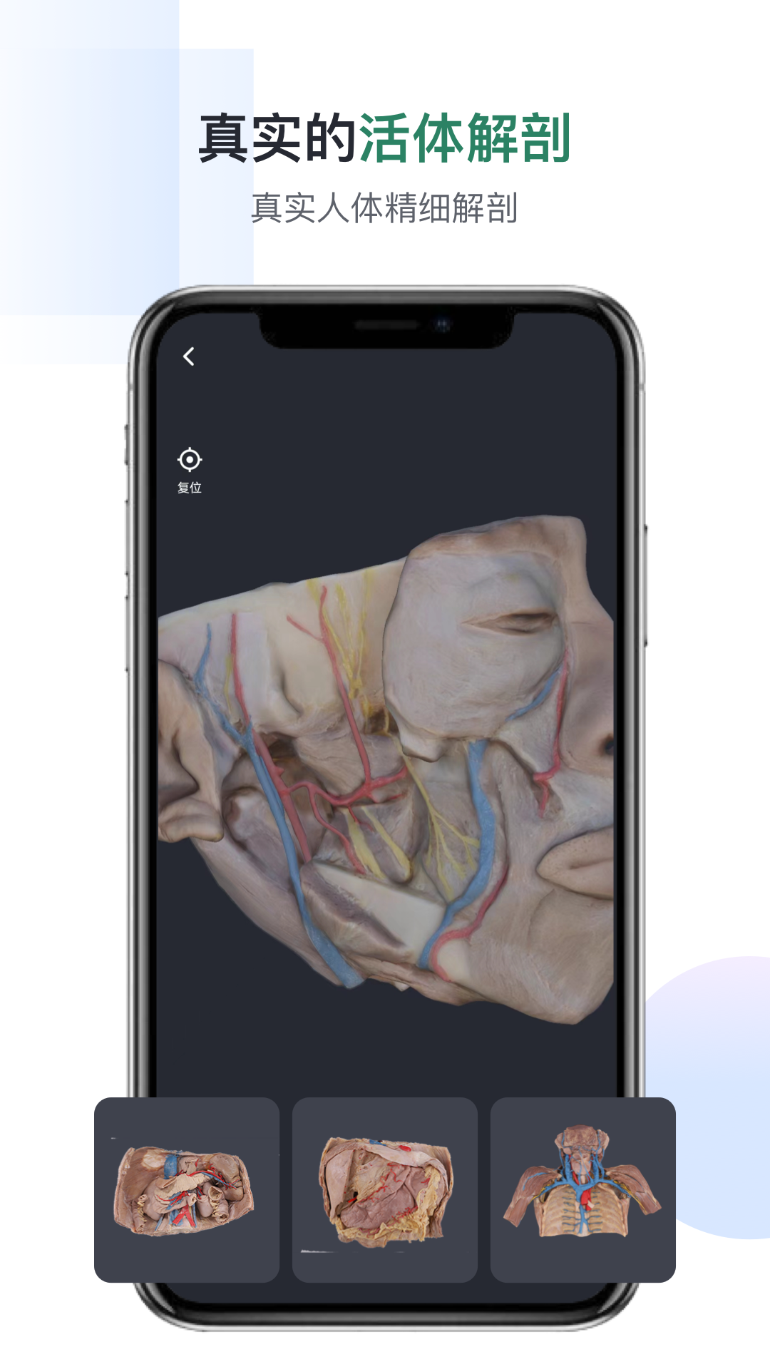 口袋人体解剖app