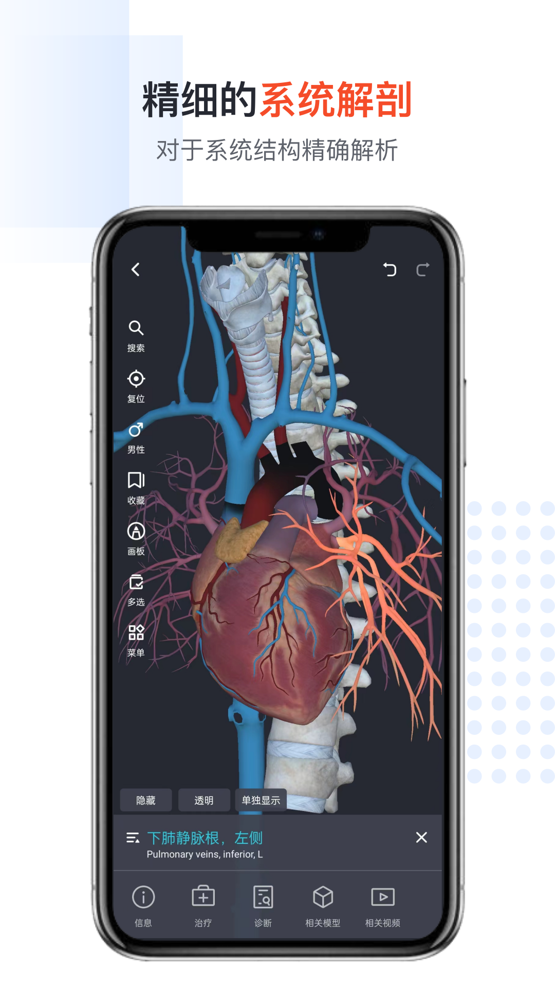 口袋人体解剖app