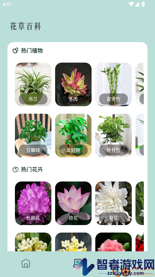 花草秒识别app下载